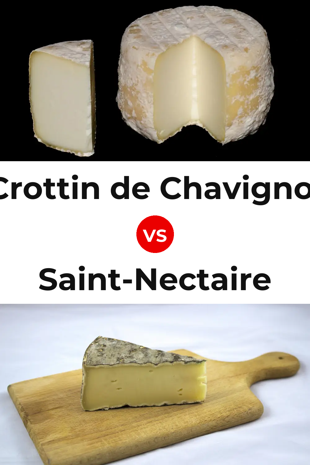 Crottin de Chavignol Cheese vs Saint-Nectaire Cheese Pinterest comparison