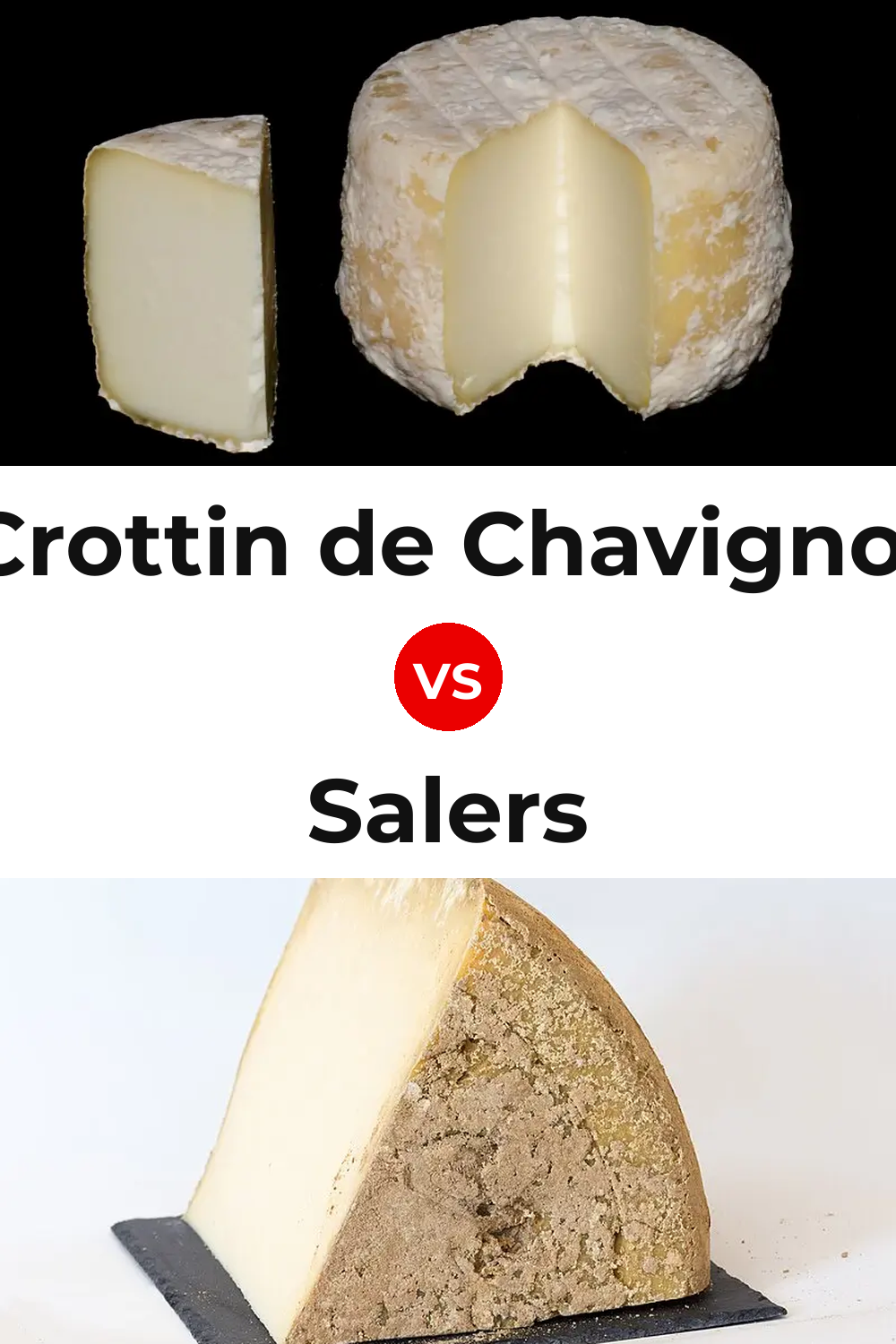 Crottin de Chavignol Cheese vs Salers Cheese Pinterest comparison