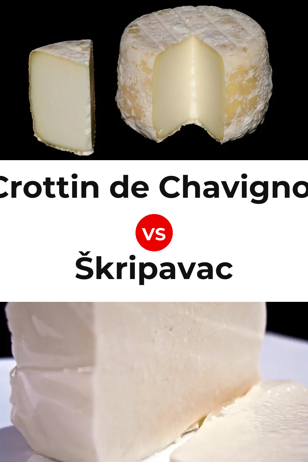 Crottin de Chavignol Cheese vs Škripavac Cheese Pinterest comparison