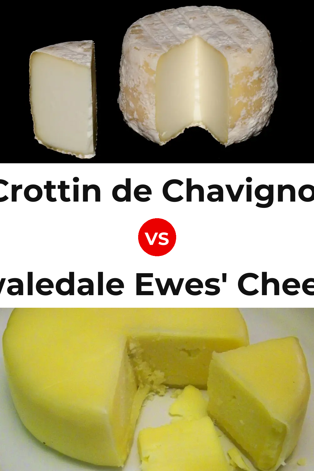 Crottin de Chavignol Cheese vs Swaledale Ewes' Cheese Pinterest comparison