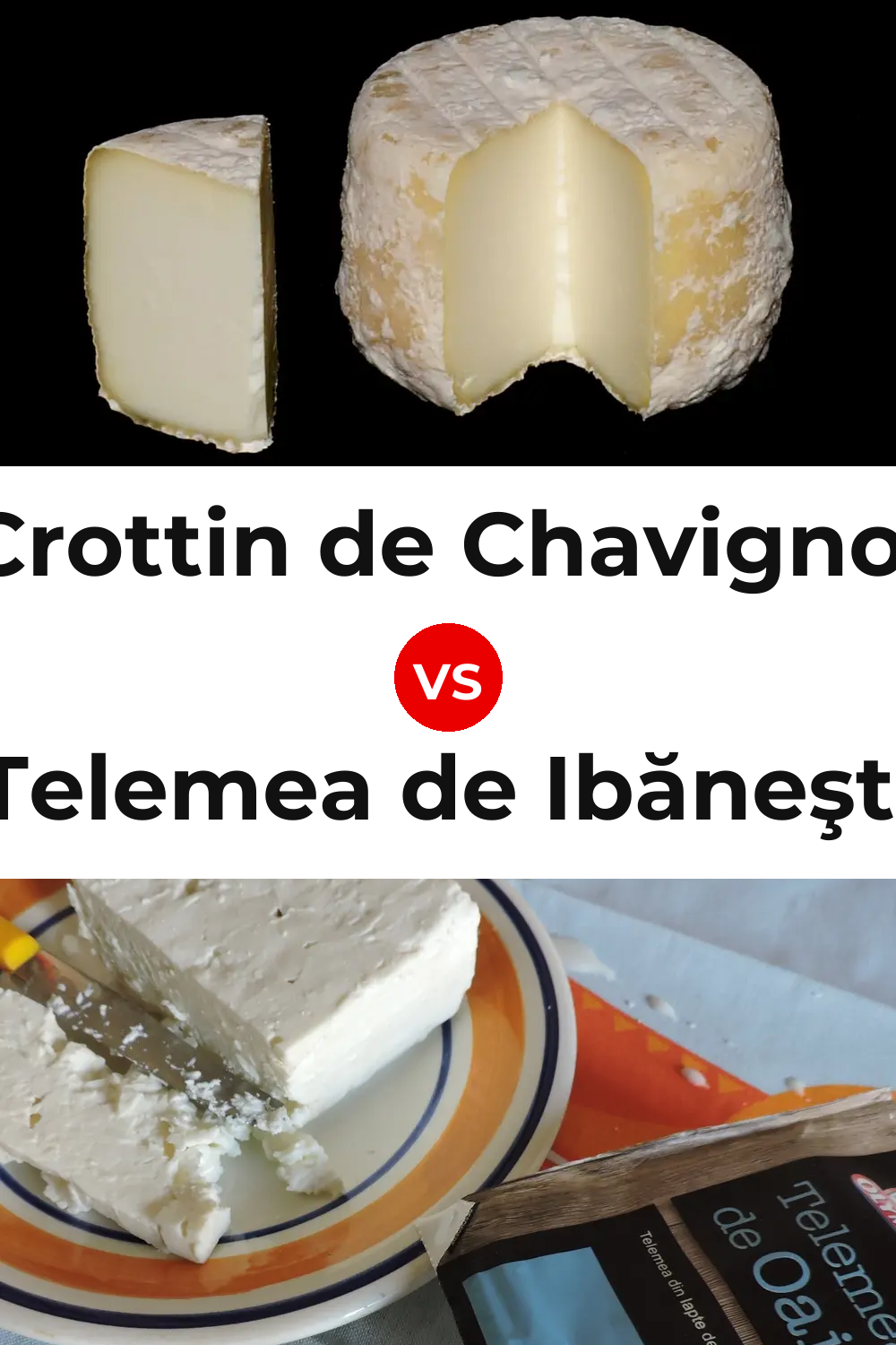 Crottin de Chavignol Cheese vs Telemea de Ibăneşti Cheese Pinterest comparison