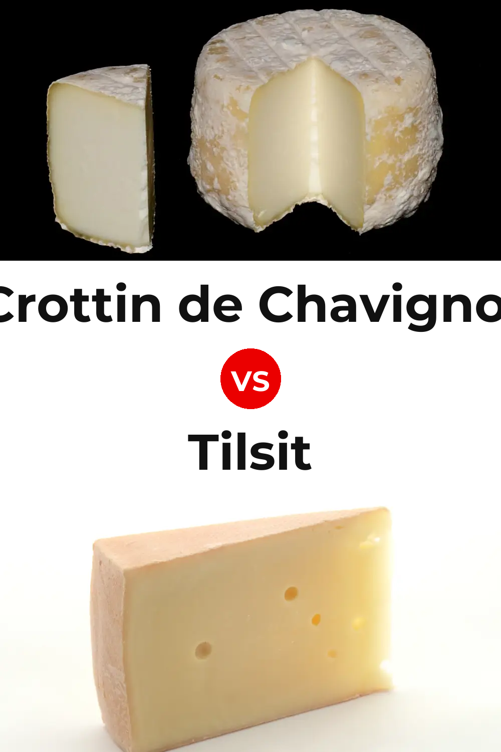 Crottin de Chavignol Cheese vs Tilsit Cheese Pinterest comparison