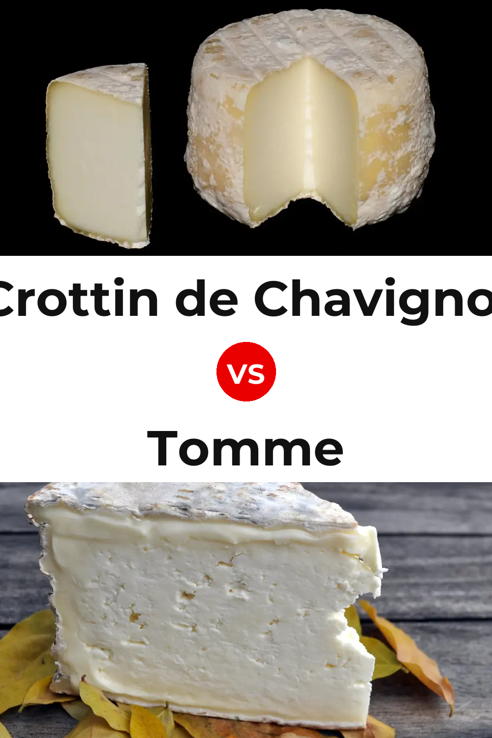 Crottin de Chavignol Cheese vs Tomme Cheese Pinterest comparison