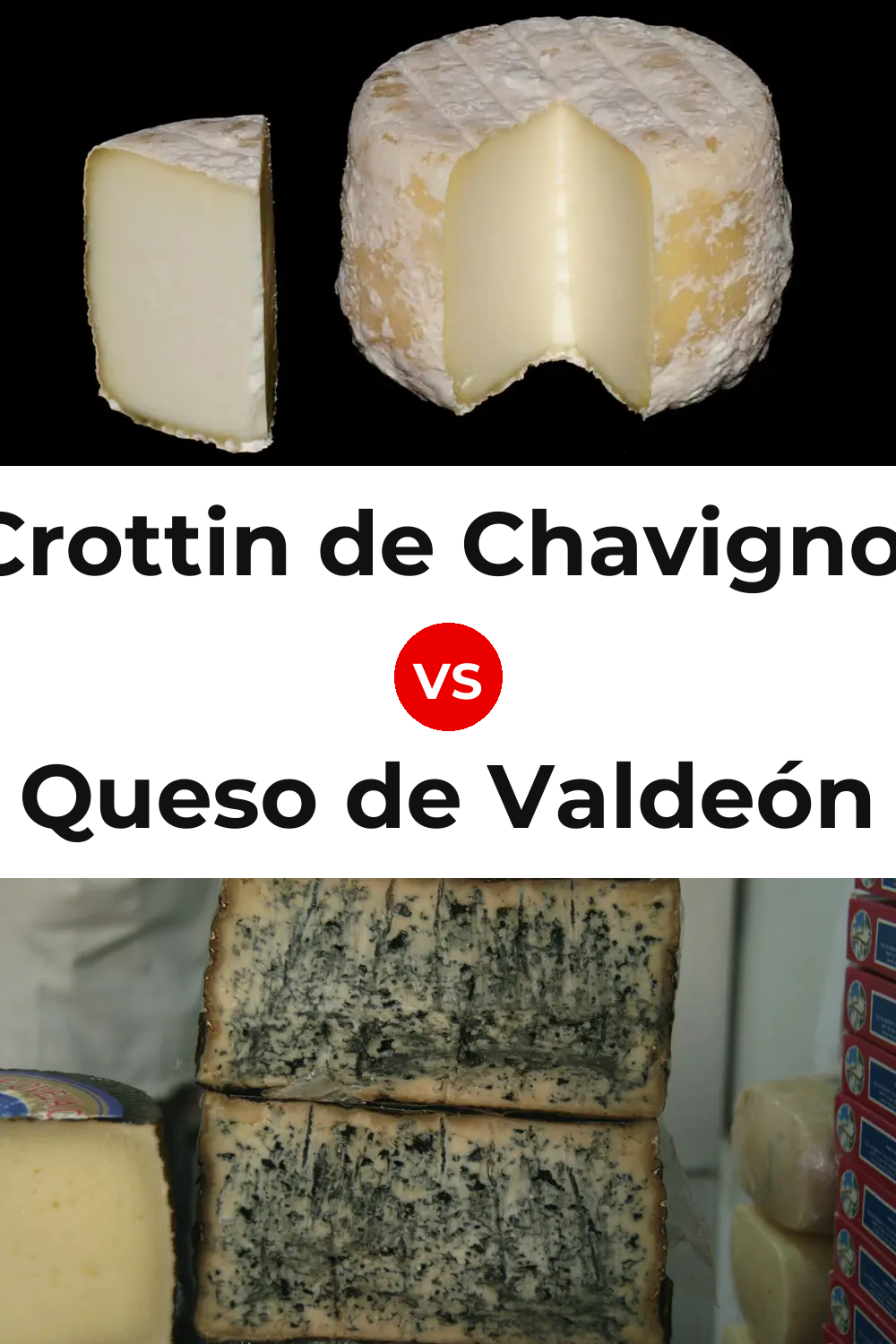 Crottin de Chavignol Cheese vs Queso de Valdeón Pinterest comparison