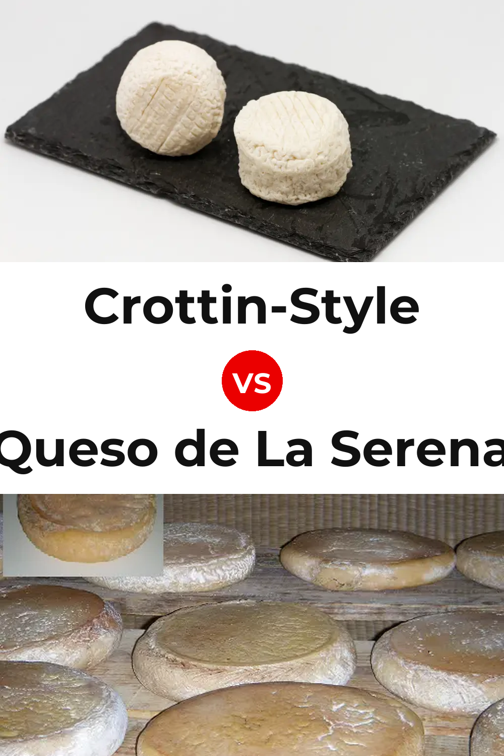 Crottin-Style Cheese vs Queso de La Serena Pinterest comparison