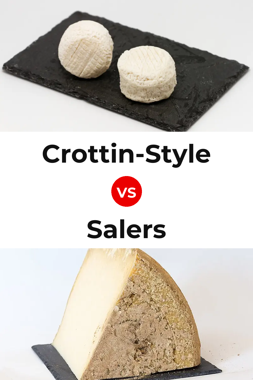 Crottin-Style Cheese vs Salers Cheese Pinterest comparison