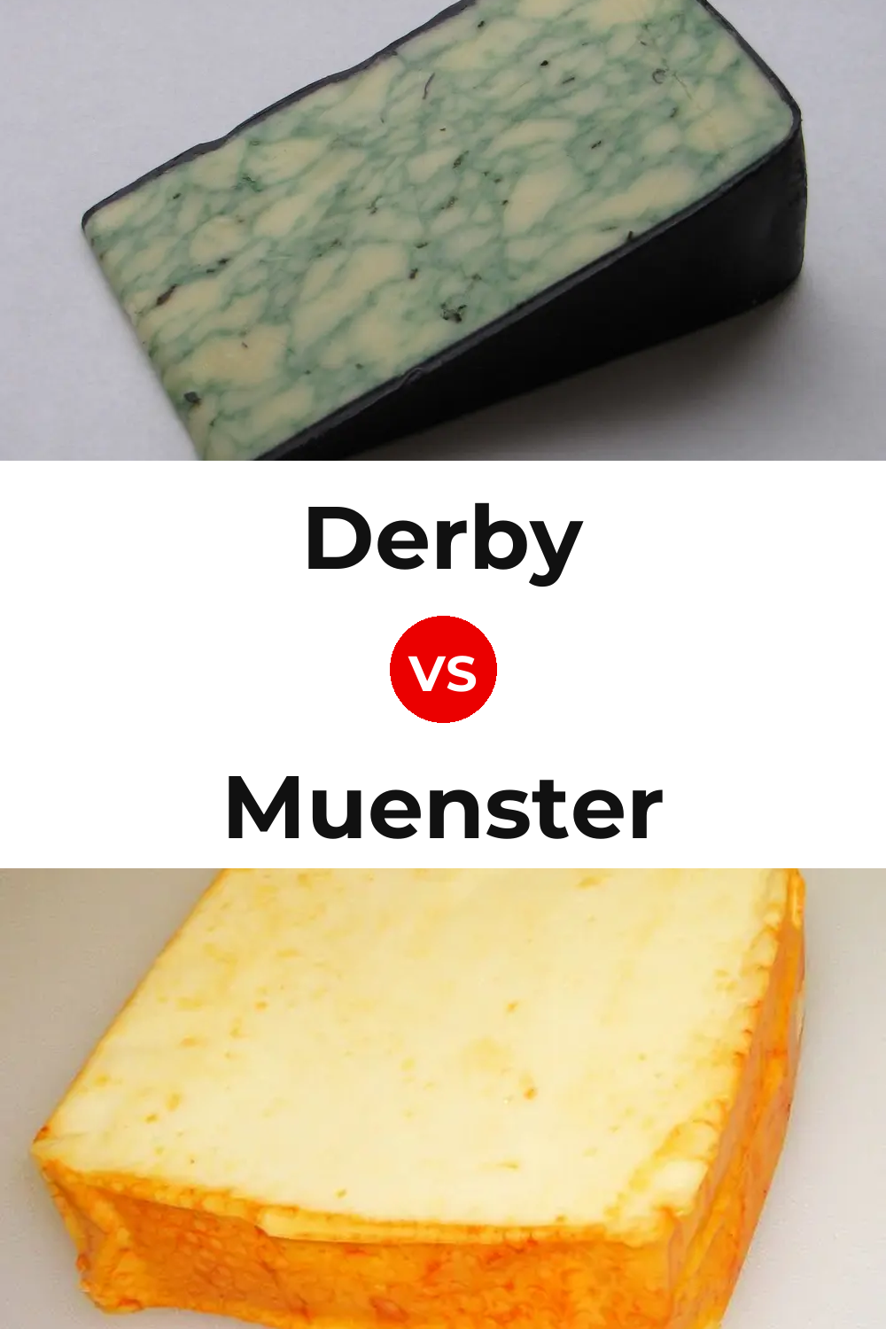 Derby Cheese vs Muenster Cheese Pinterest comparison