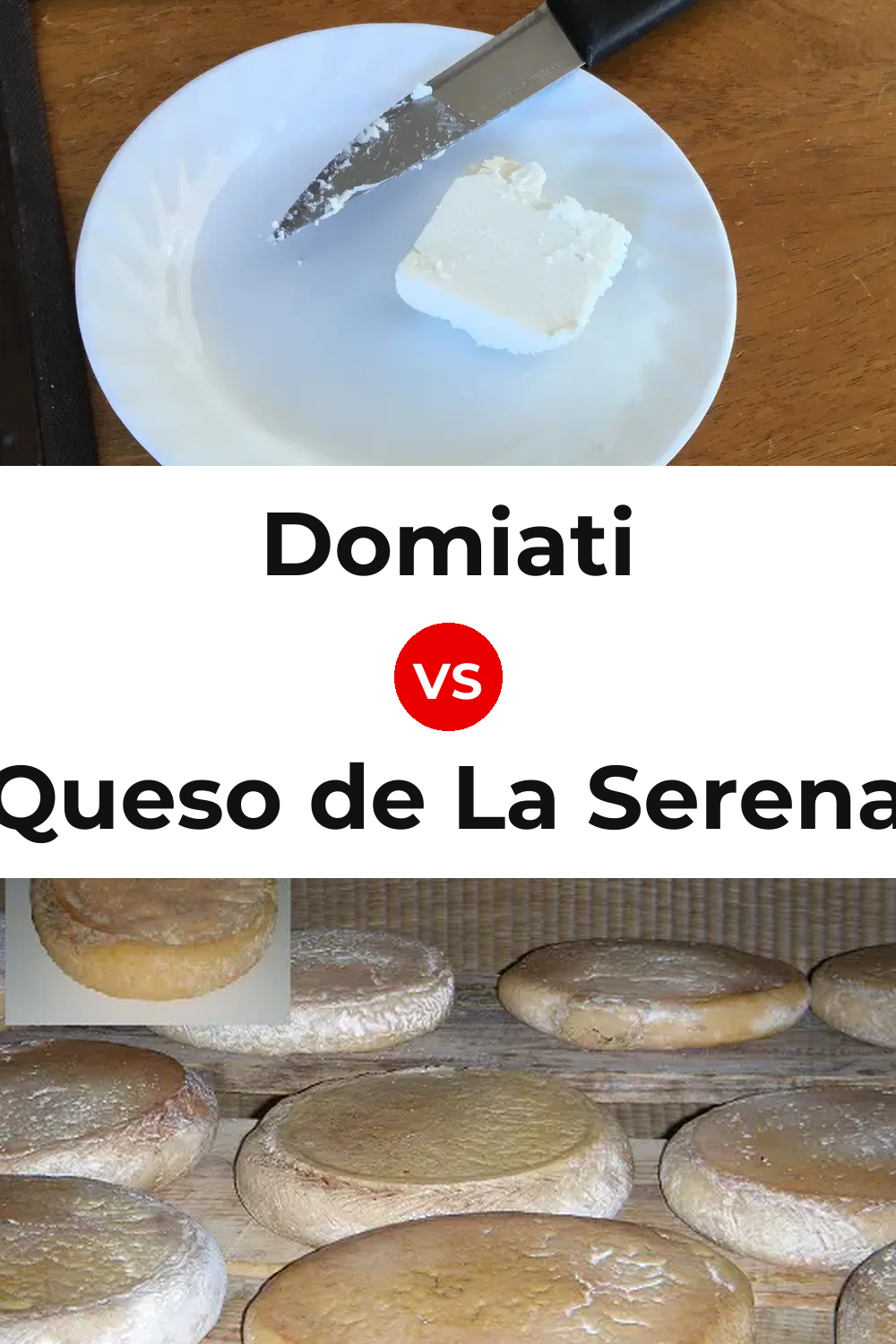 Domiati Cheese vs Queso de La Serena Pinterest comparison