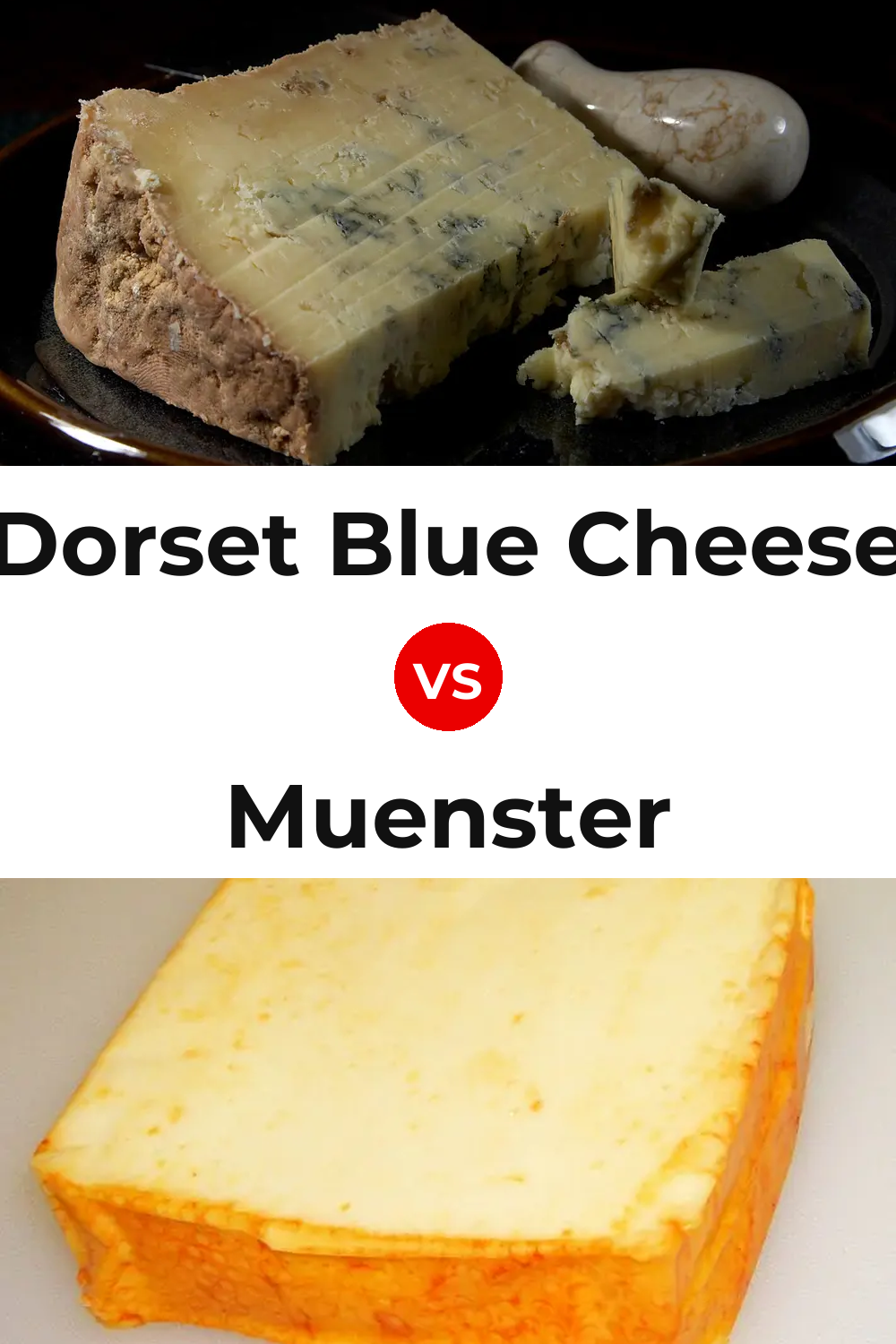 Dorset Blue Cheese vs Muenster Cheese Pinterest comparison