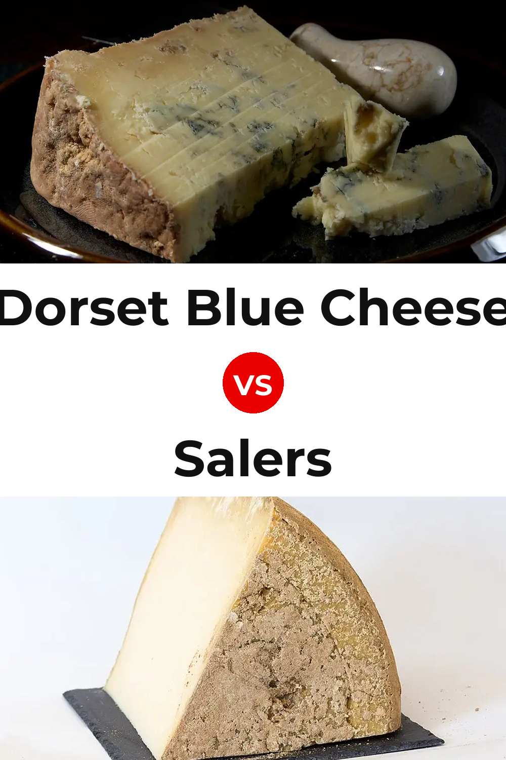 Dorset Blue Cheese vs Salers Cheese Pinterest comparison