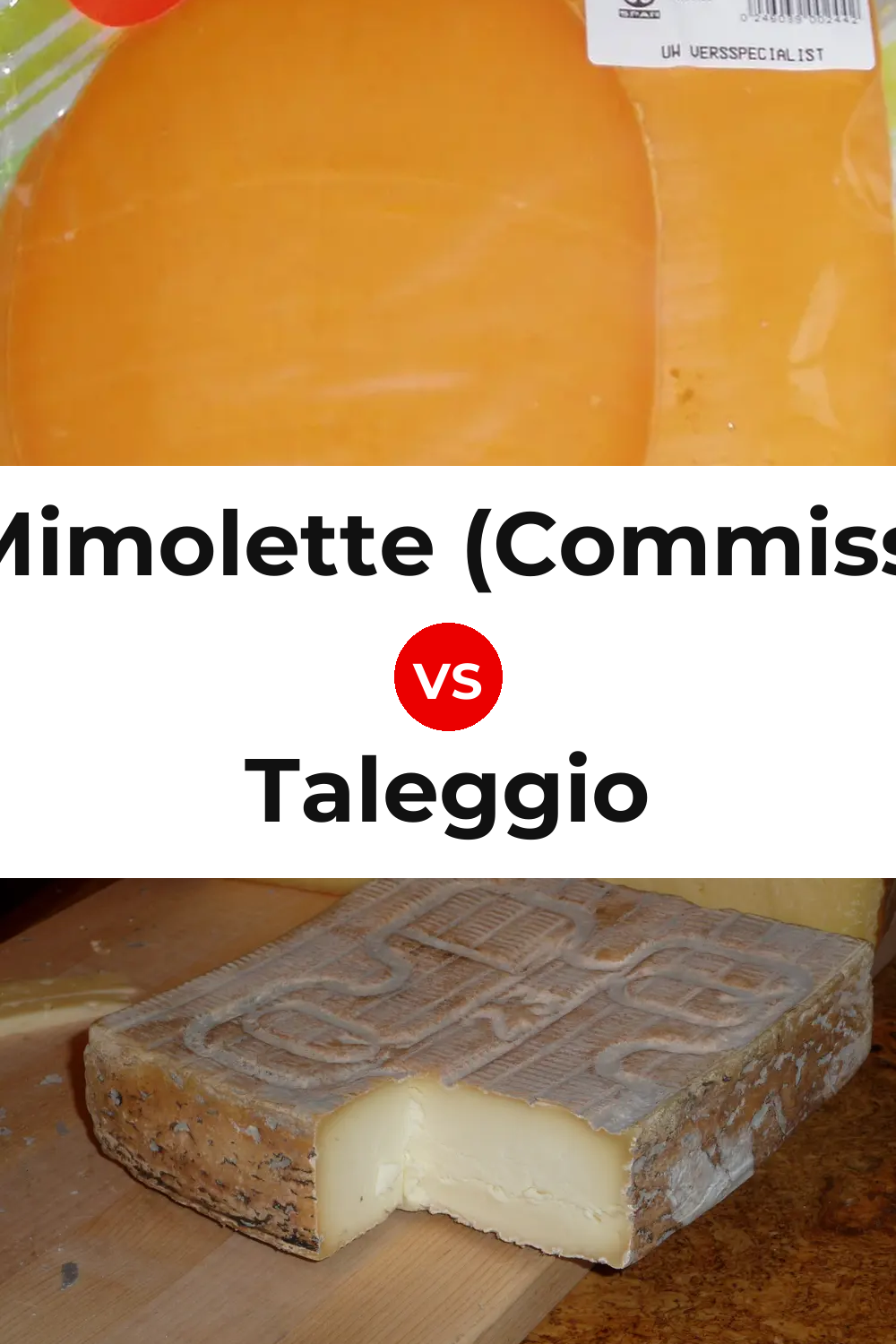 Dutch Mimolette (Commissiekaas) Cheese vs Taleggio Cheese Pinterest comparison