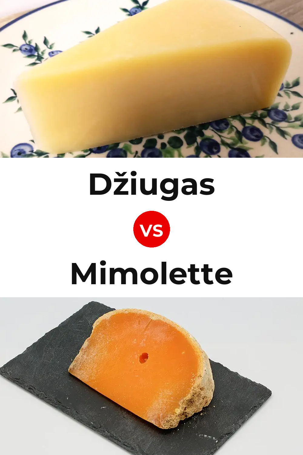 Džiugas Cheese vs Mimolette Cheese Pinterest comparison