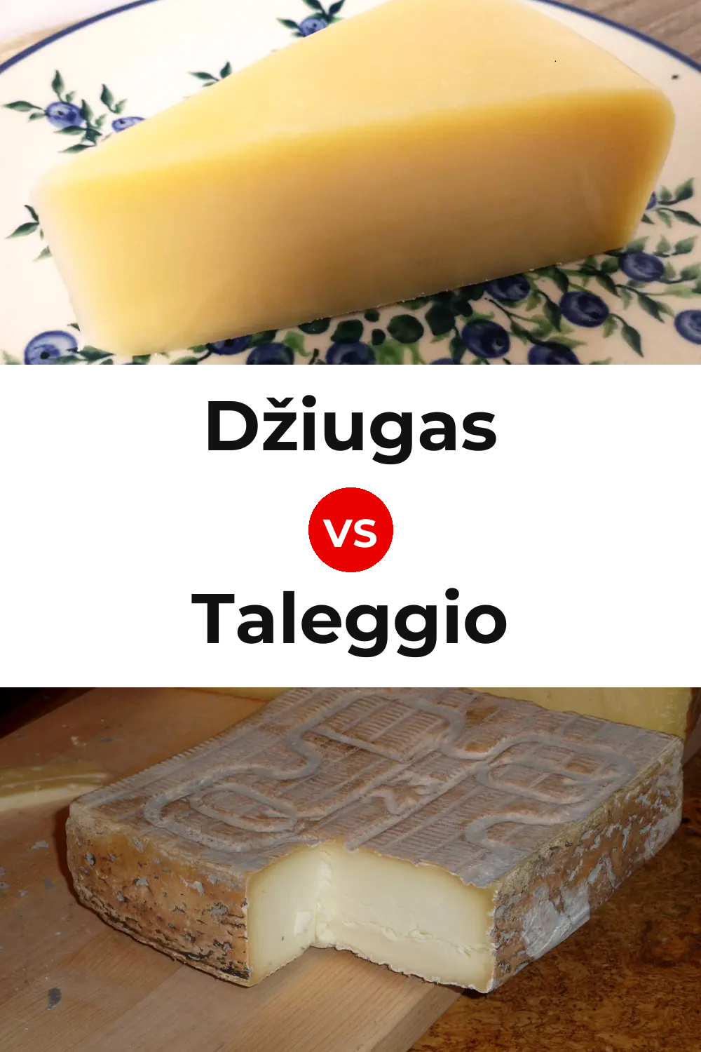 Džiugas Cheese vs Taleggio Cheese Pinterest comparison