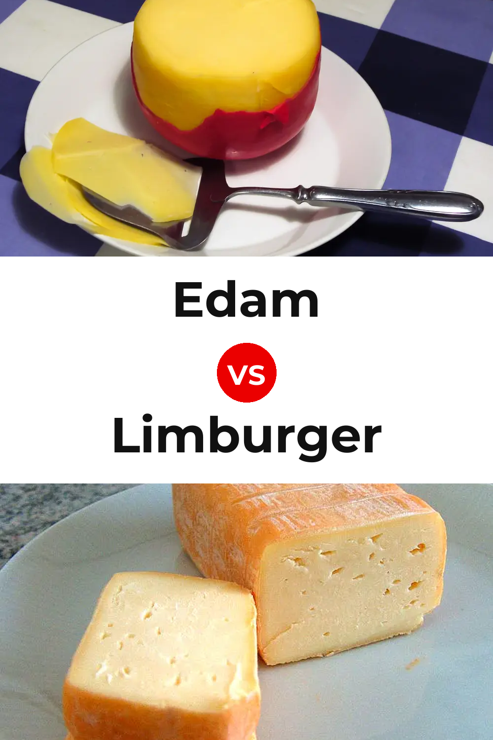 Edam Cheese vs Limburger Cheese Pinterest comparison