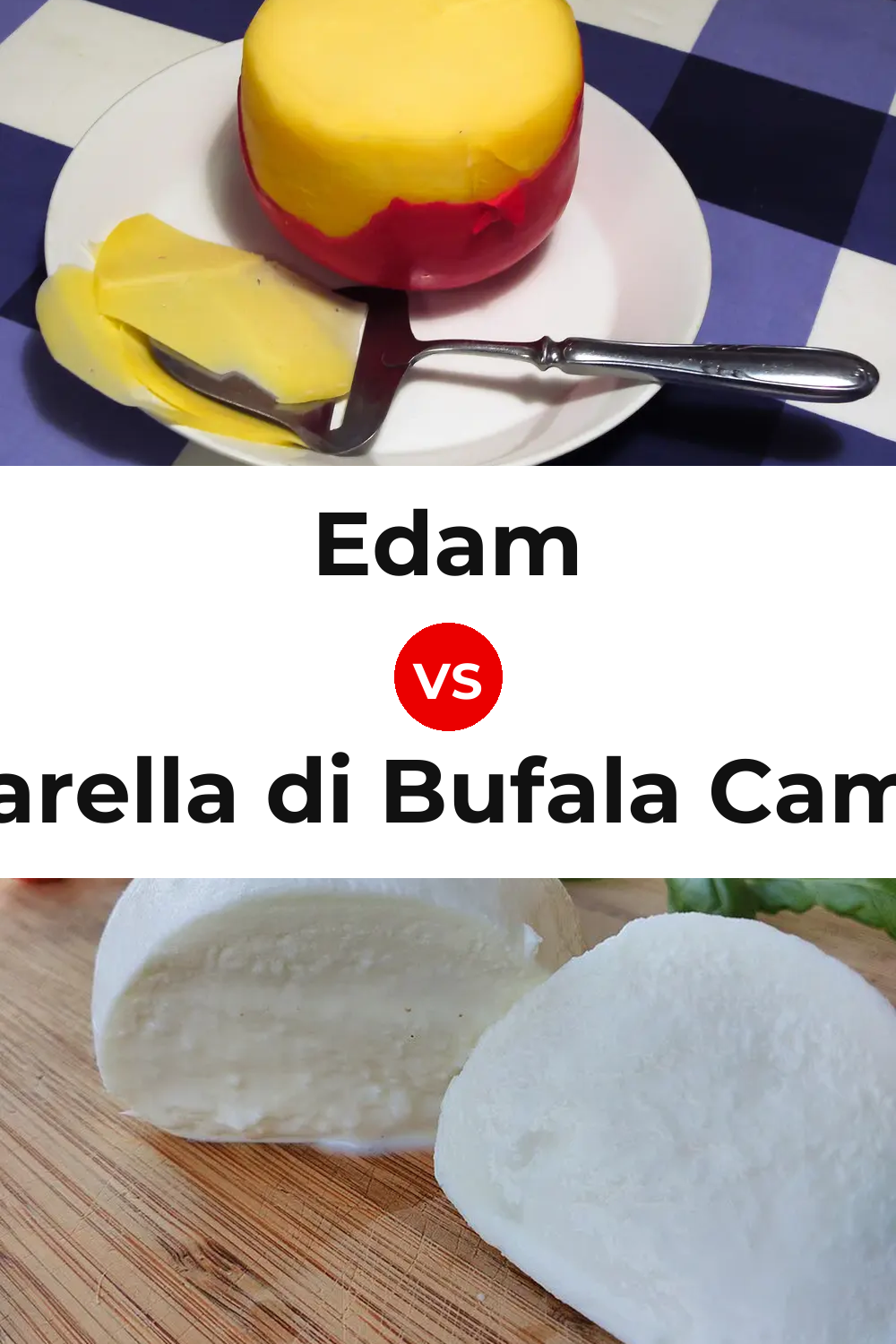 Edam Cheese vs Mozzarella di Bufala Campana Cheese Pinterest comparison