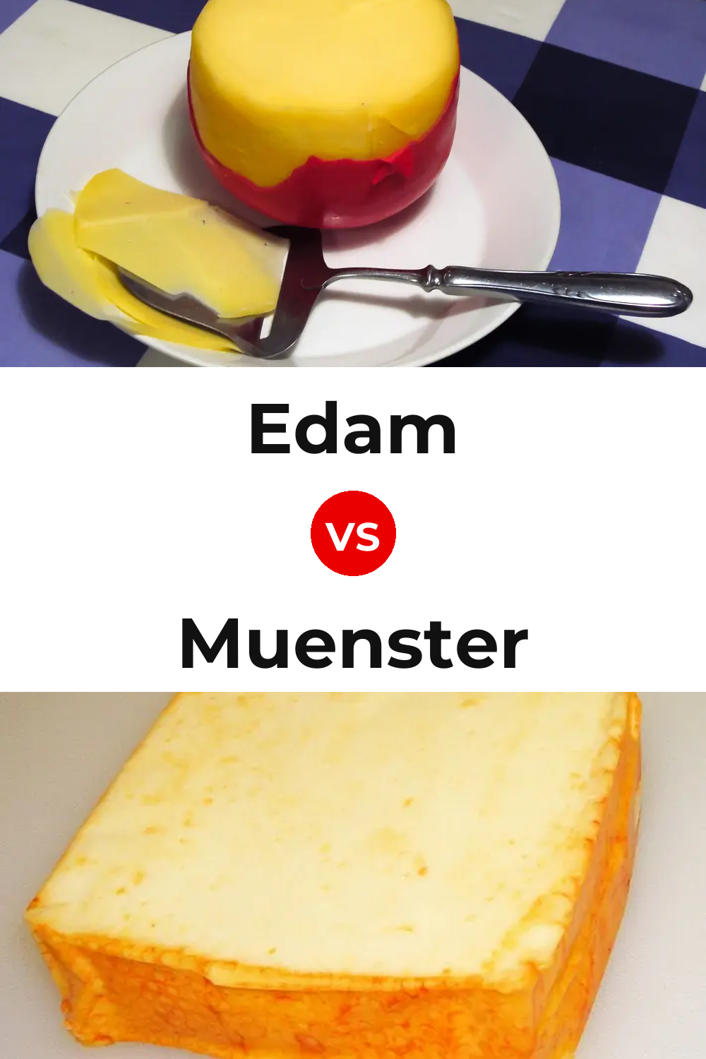 Edam Cheese vs Muenster Cheese Pinterest comparison