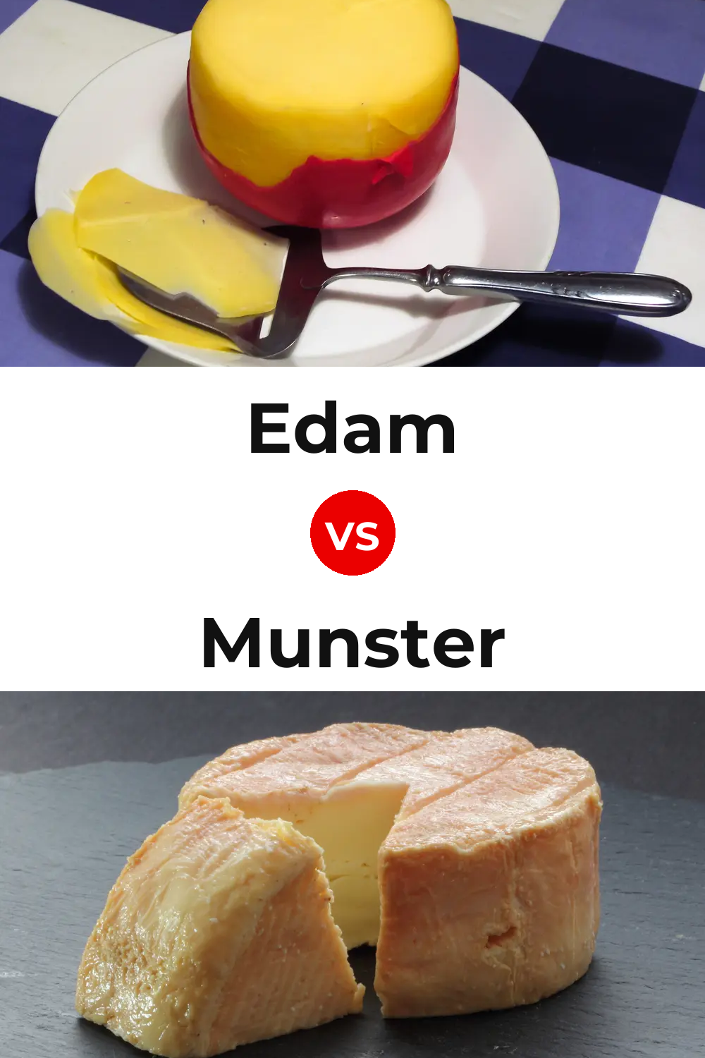 Edam Cheese vs Munster Cheese Pinterest comparison