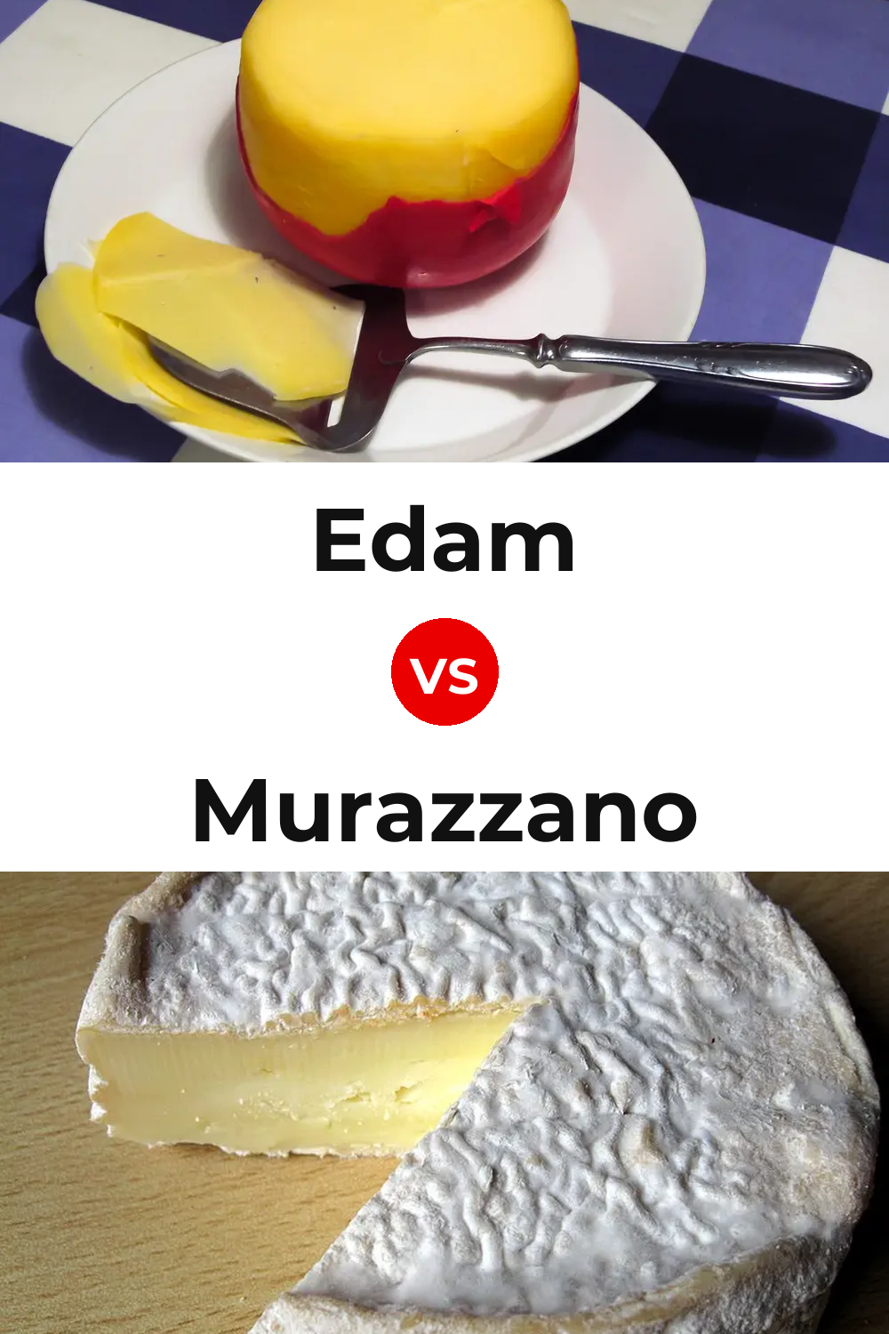 Edam Cheese vs Murazzano Cheese Pinterest comparison