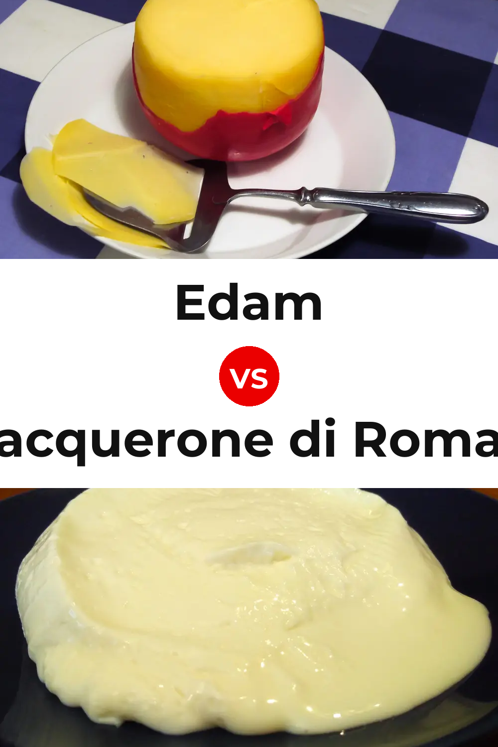 Edam Cheese vs Squacquerone di Romagna Cheese Pinterest comparison