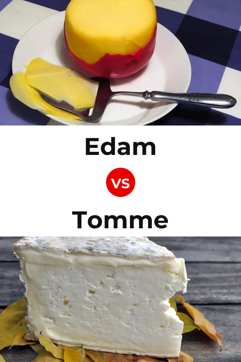 Edam Cheese vs Tomme Cheese Pinterest comparison
