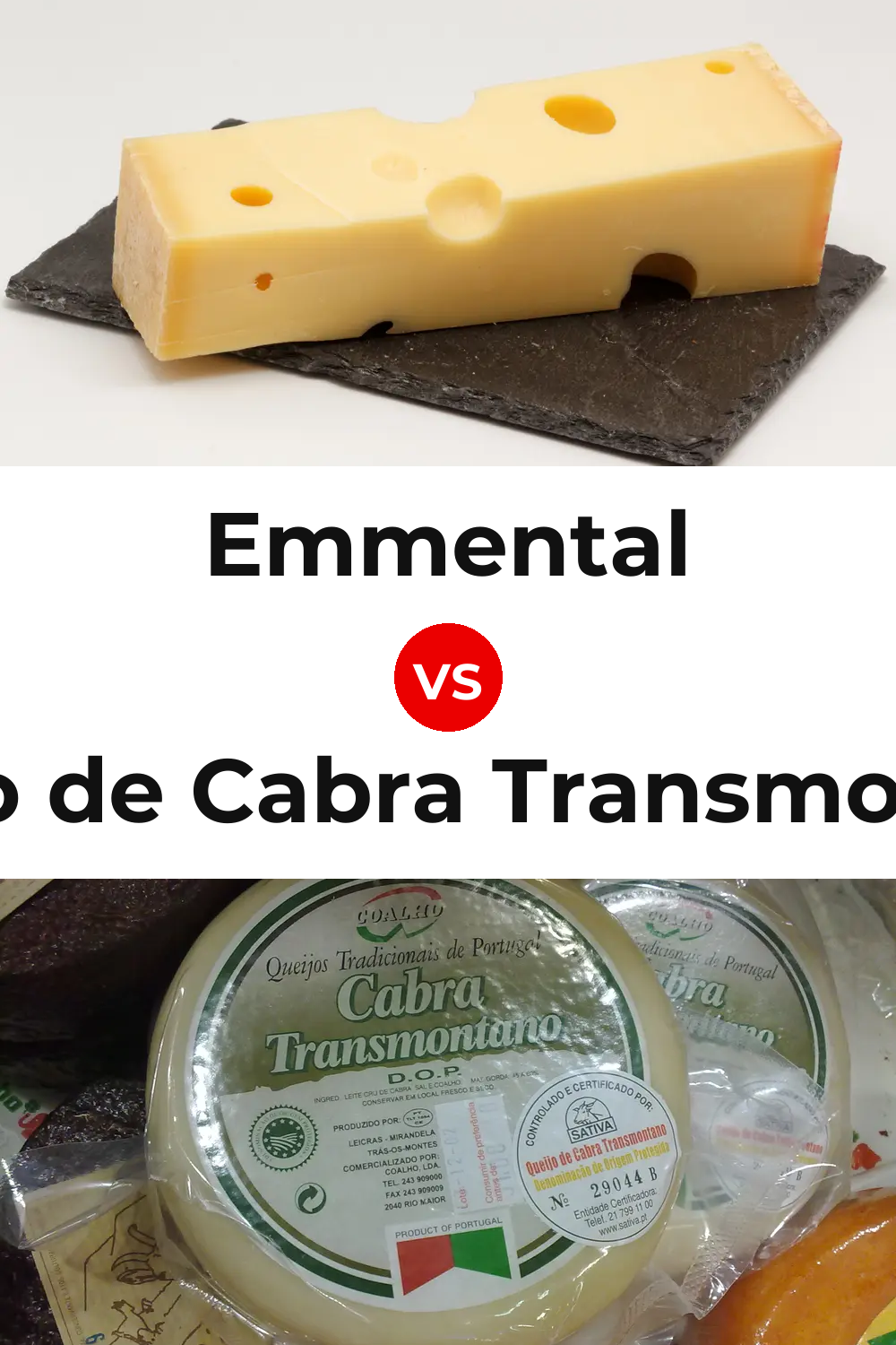 Emmental Cheese vs Queijo de Cabra Transmontano Pinterest comparison