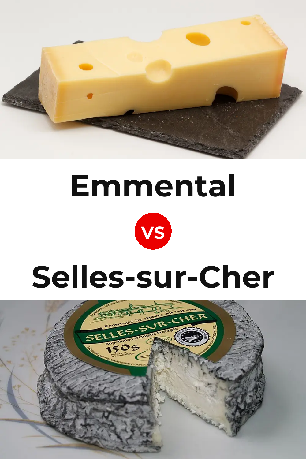Emmental Cheese vs Selles-sur-Cher Cheese Pinterest comparison