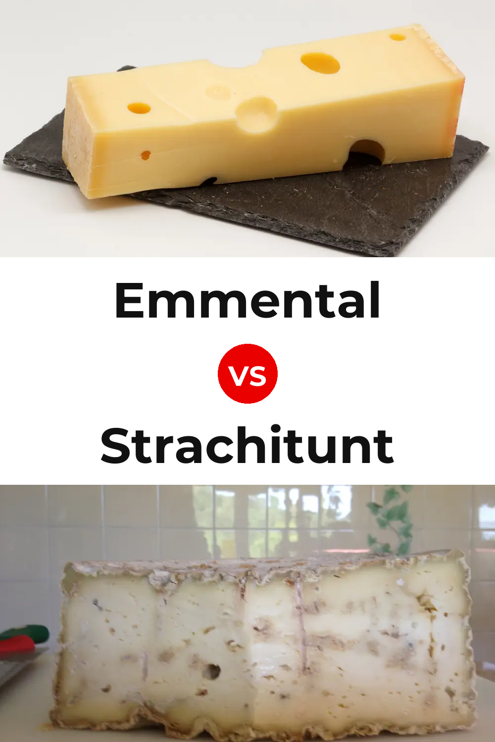 Emmental Cheese vs Strachitunt Cheese Pinterest comparison