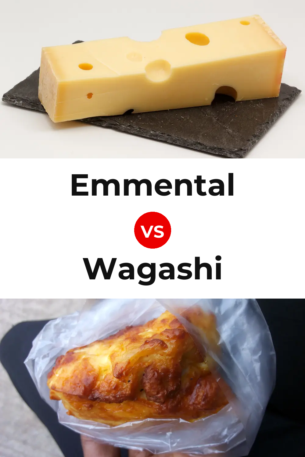 Emmental Cheese vs Wagashi Cheese Pinterest comparison