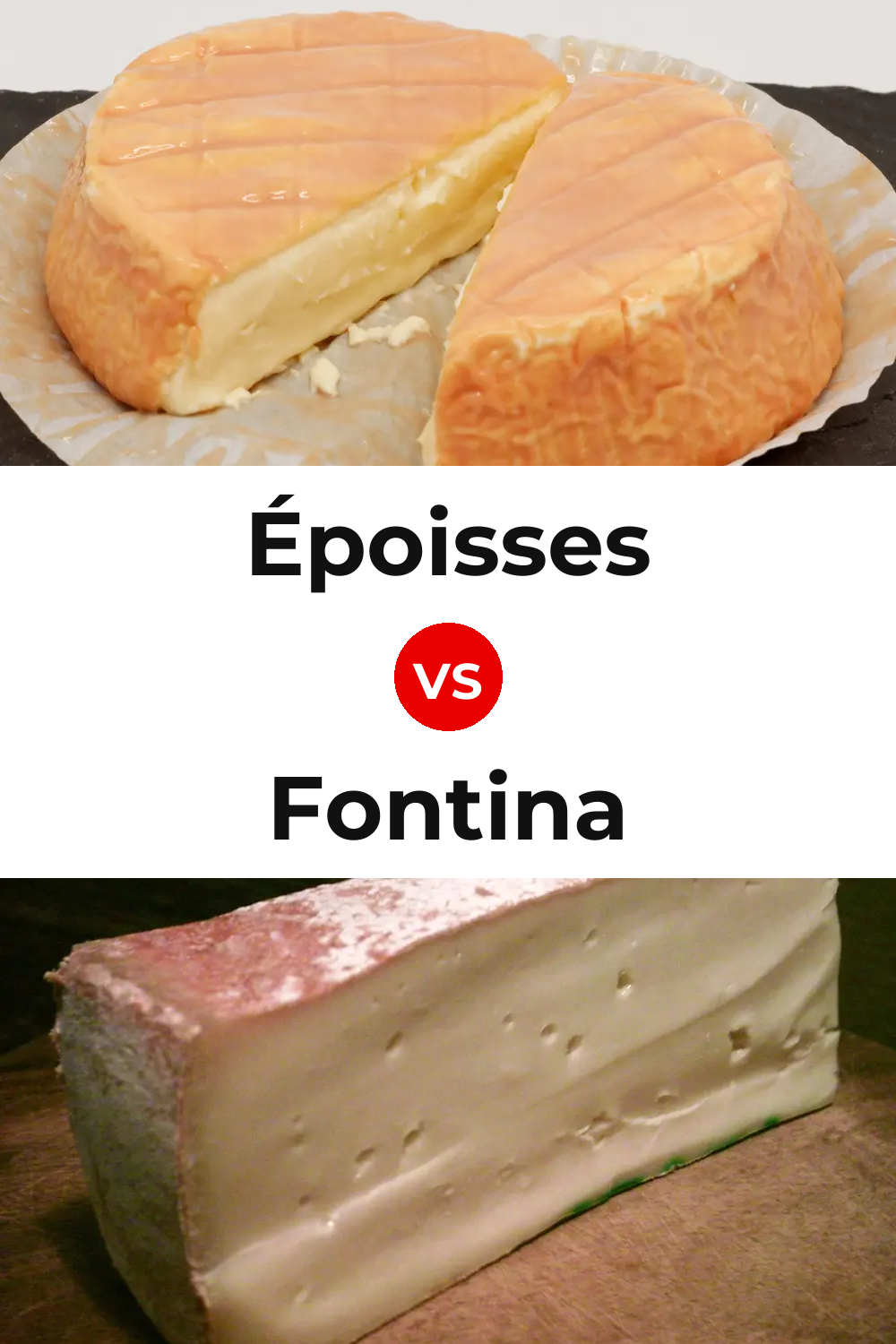 Époisses Cheese vs Fontina Cheese Pinterest comparison