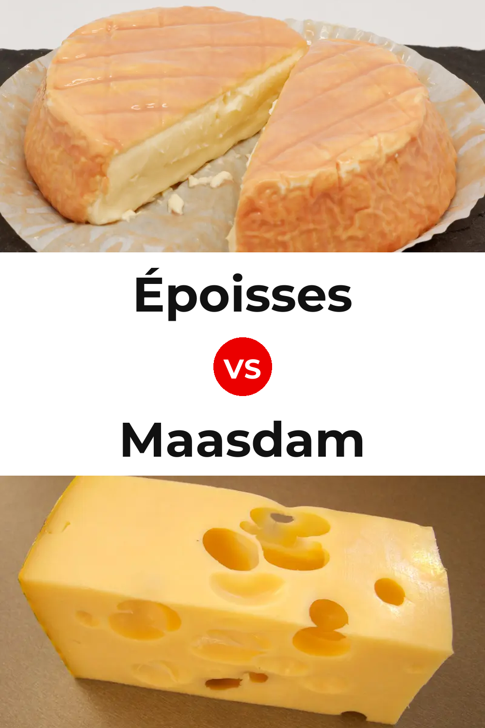 Époisses Cheese vs Maasdam Cheese Pinterest comparison