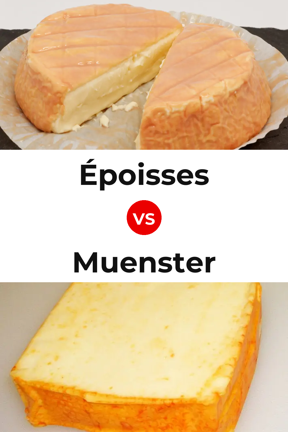 Époisses Cheese vs Muenster Cheese Pinterest comparison