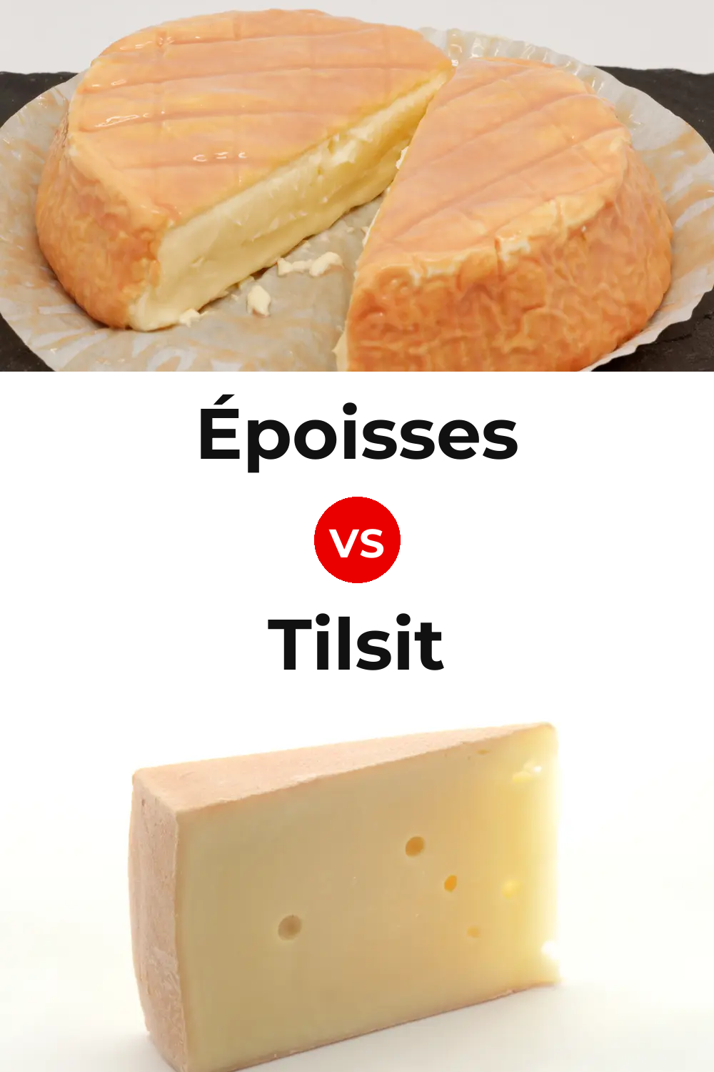 Époisses Cheese vs Tilsit Cheese Pinterest comparison