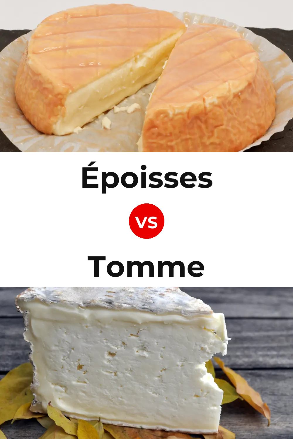 Époisses Cheese vs Tomme Cheese Pinterest comparison