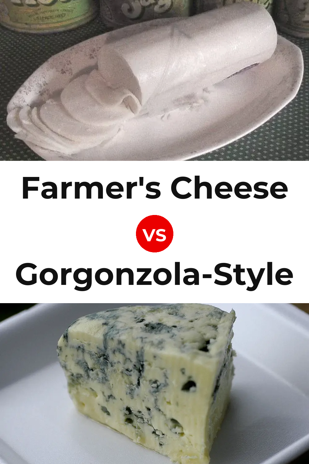 Farmer's Cheese vs Gorgonzola-Style Cheese Pinterest comparison