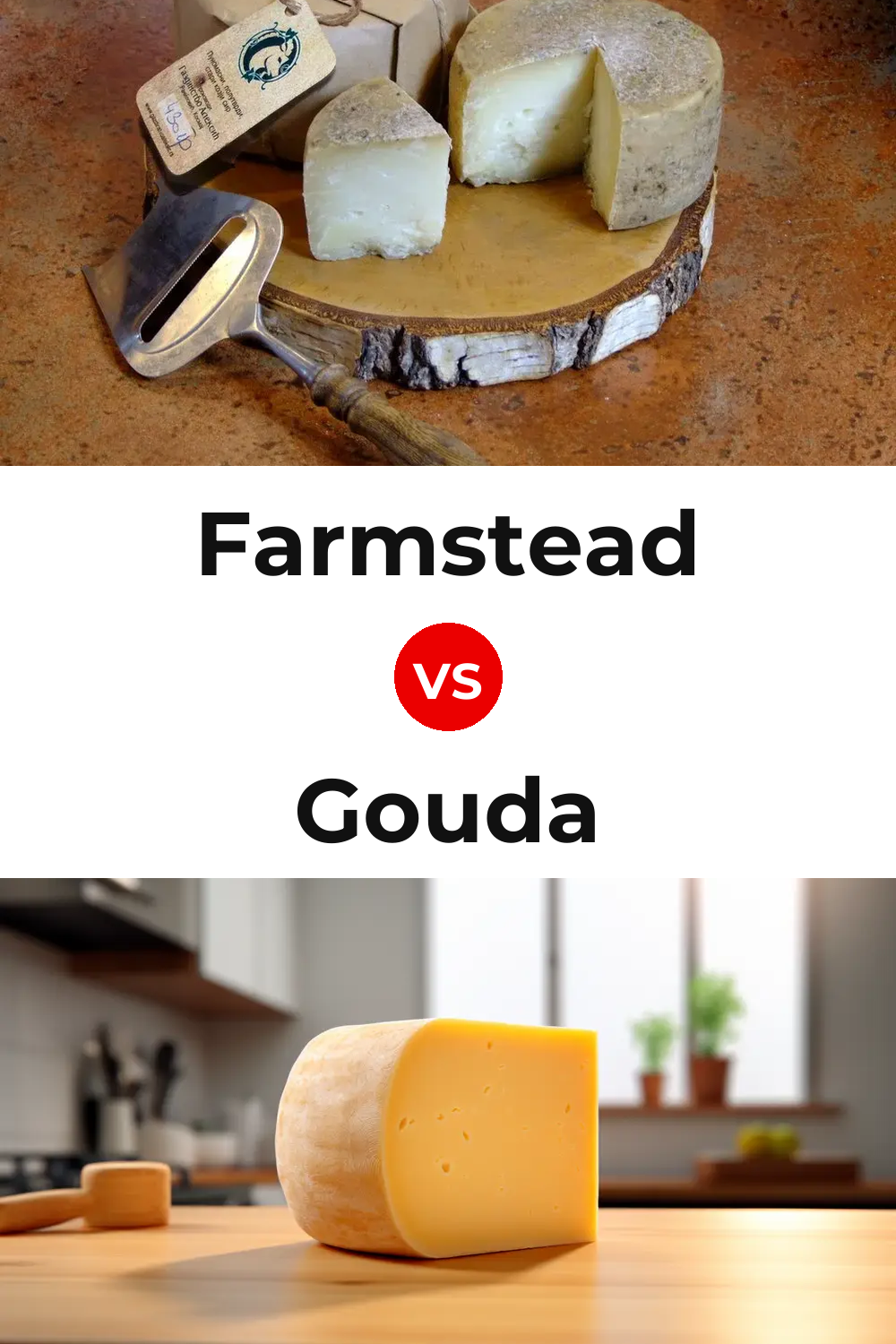 Farmstead Cheese vs Gouda Cheese Pinterest comparison