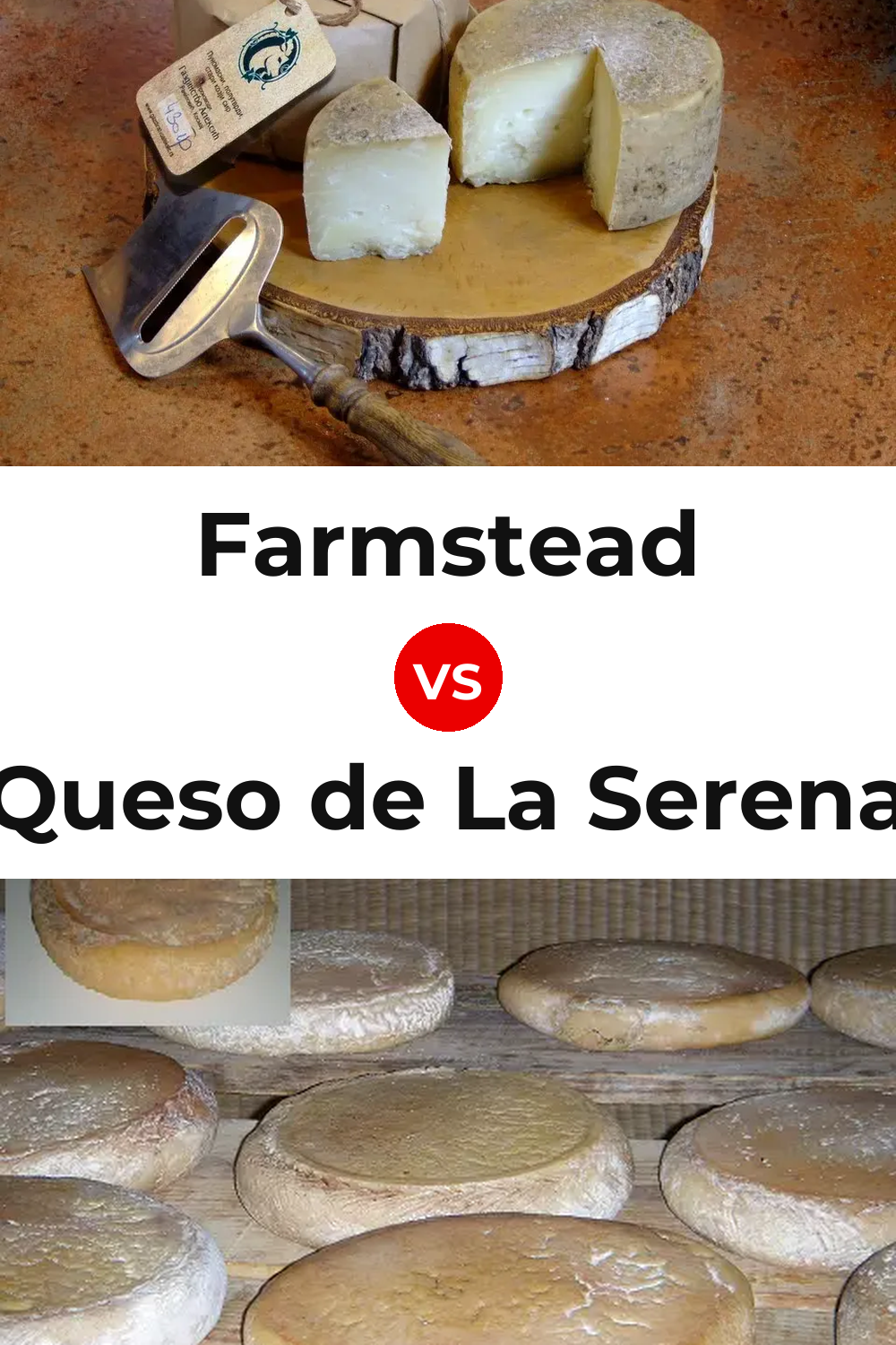 Farmstead Cheese vs Queso de La Serena Pinterest comparison