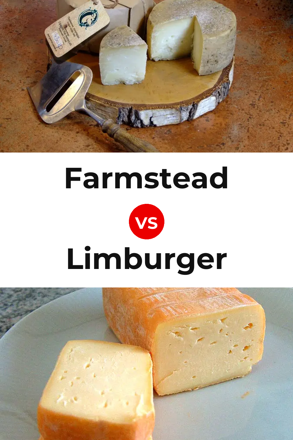 Farmstead Cheese vs Limburger Cheese Pinterest comparison