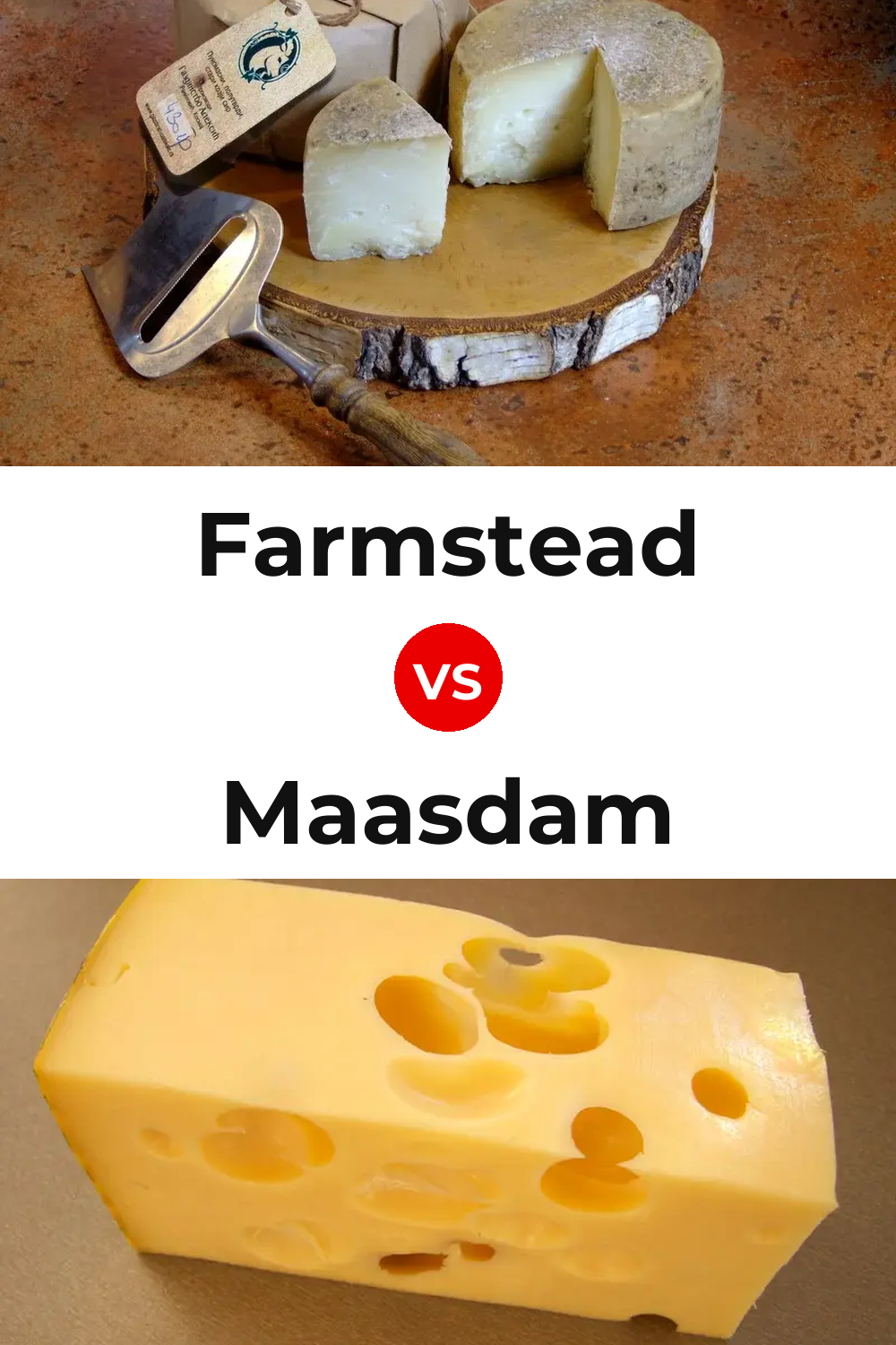 Farmstead Cheese vs Maasdam Cheese Pinterest comparison
