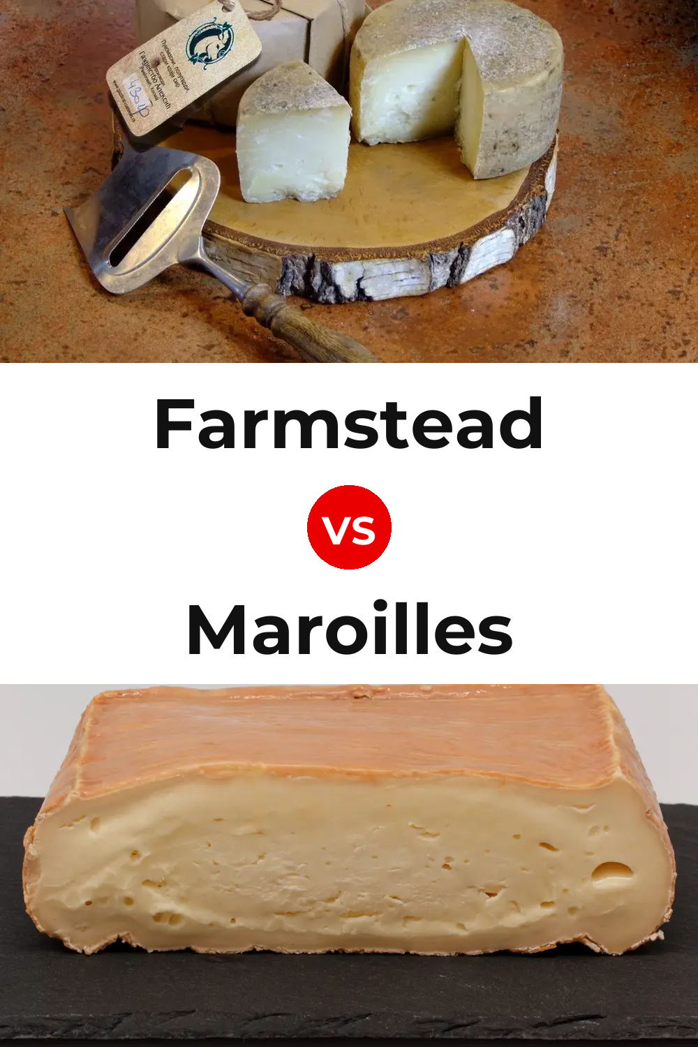 Farmstead Cheese vs Maroilles Cheese Pinterest comparison