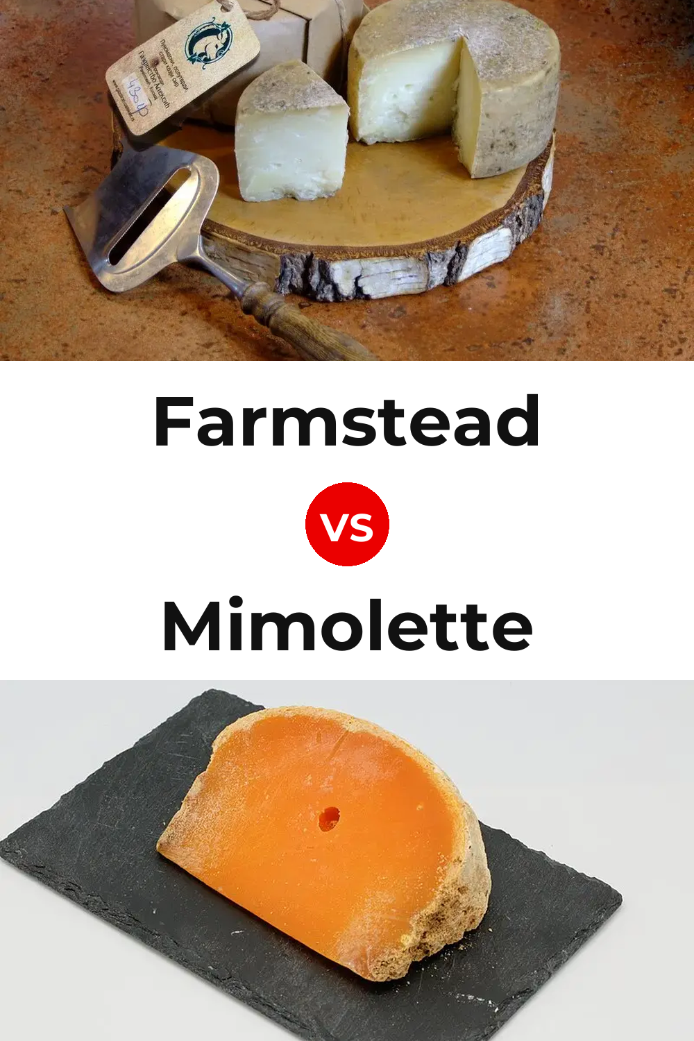 Farmstead Cheese vs Mimolette Cheese Pinterest comparison
