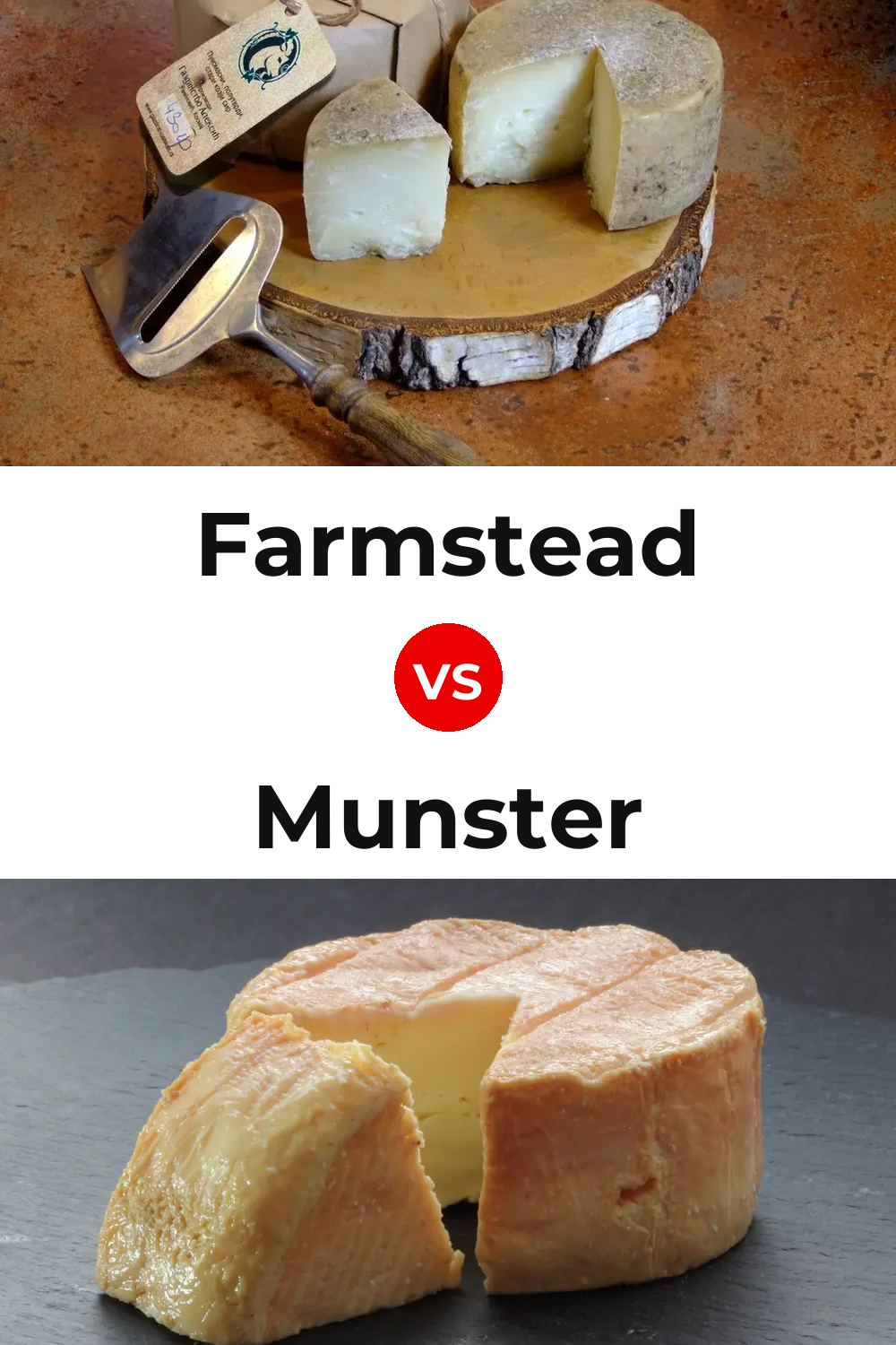 Farmstead Cheese vs Munster Cheese Pinterest comparison