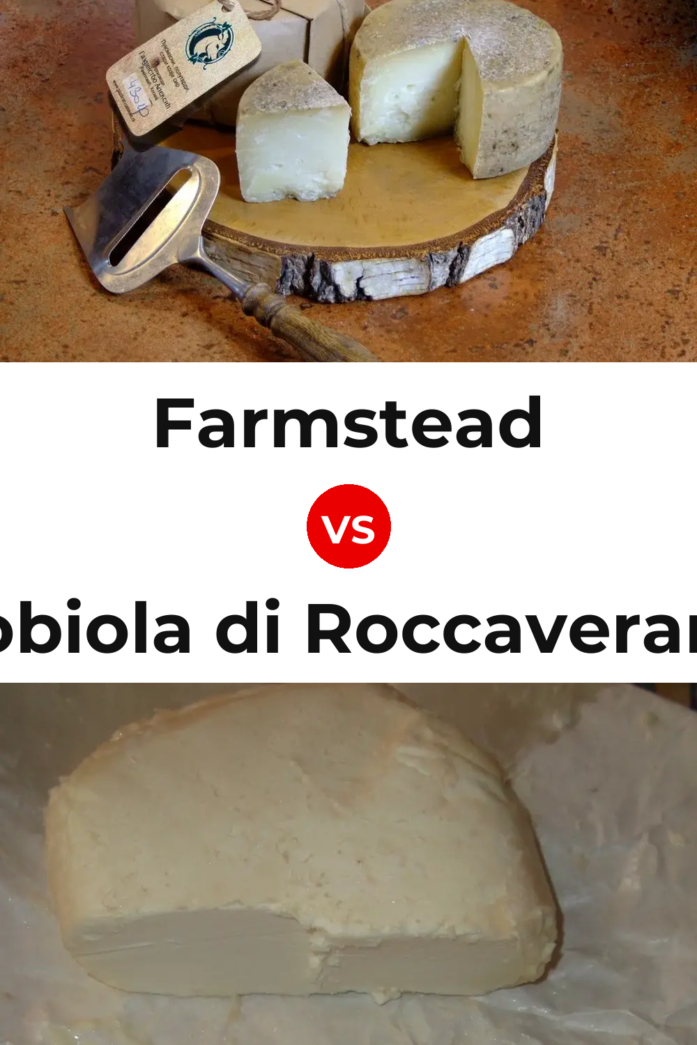 Farmstead Cheese vs Robiola di Roccaverano Cheese Pinterest comparison