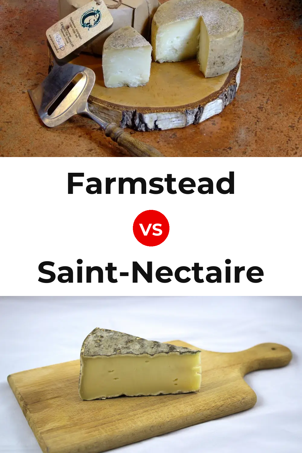 Farmstead Cheese vs Saint-Nectaire Cheese Pinterest comparison