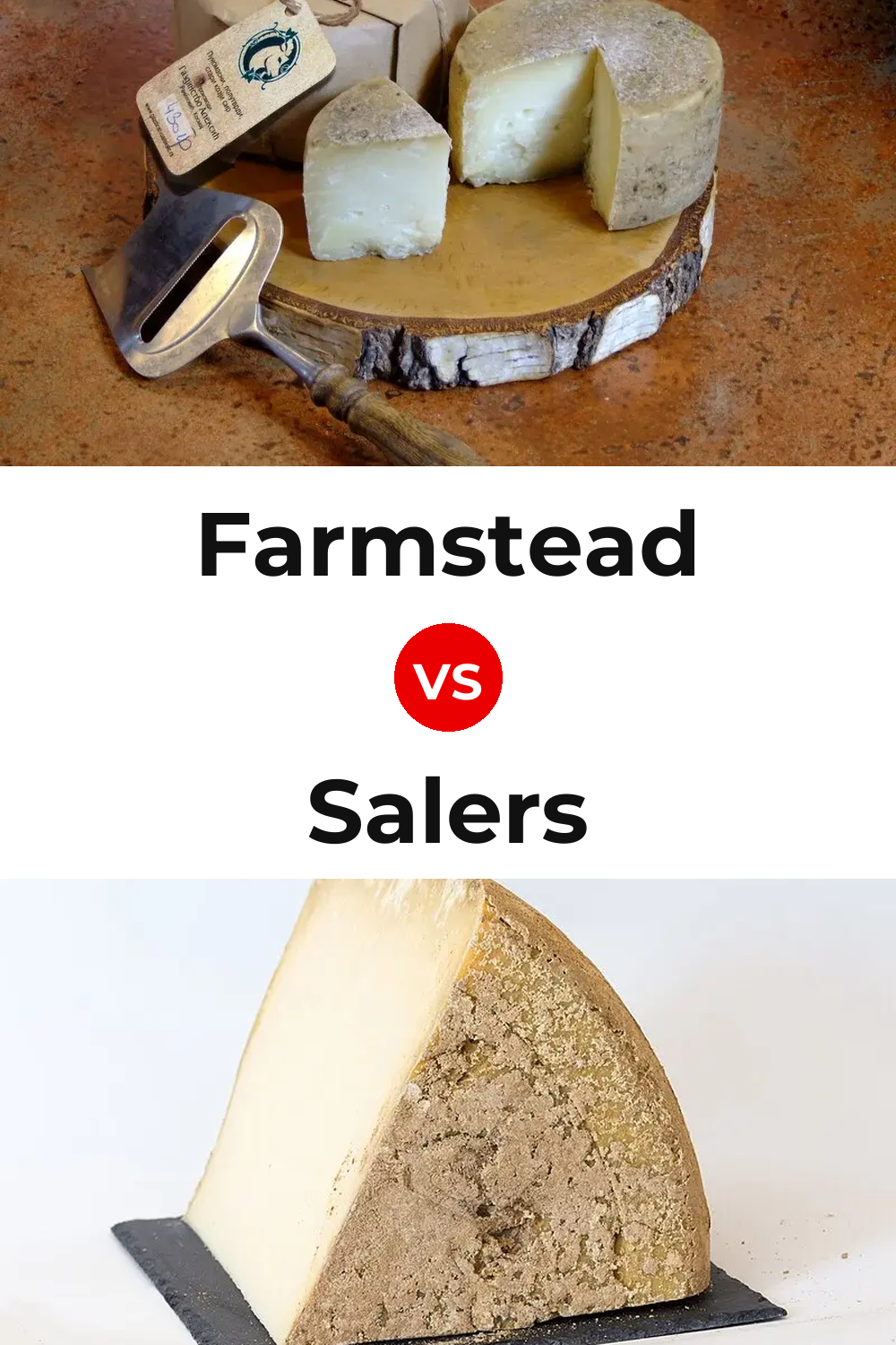 Farmstead Cheese vs Salers Cheese Pinterest comparison