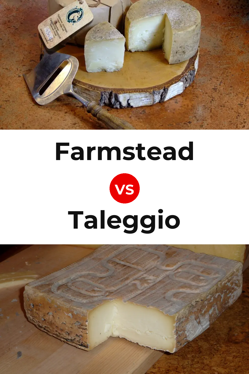 Farmstead Cheese vs Taleggio Cheese Pinterest comparison