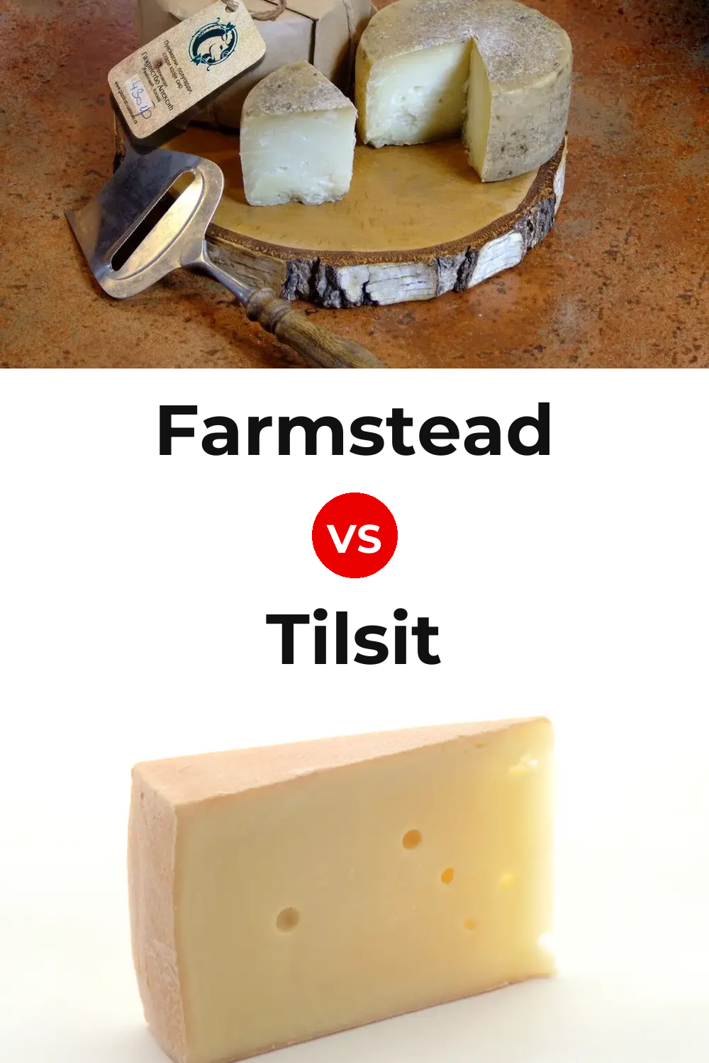 Farmstead Cheese vs Tilsit Cheese Pinterest comparison