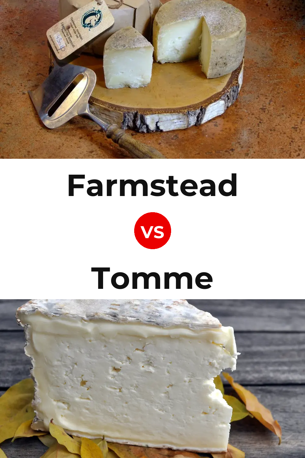 Farmstead Cheese vs Tomme Cheese Pinterest comparison