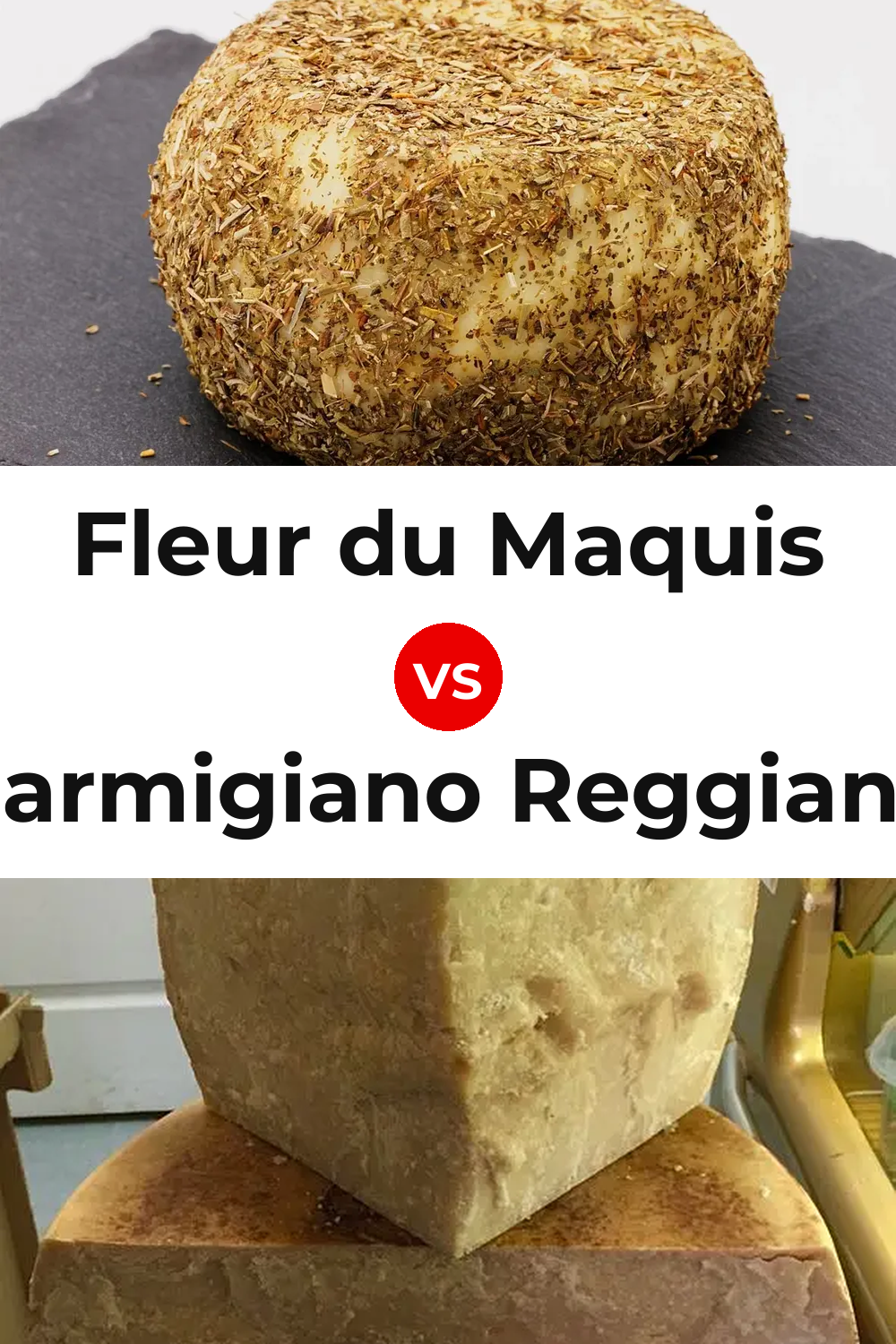 Fleur du Maquis Cheese vs Parmigiano Reggiano Cheese Pinterest comparison