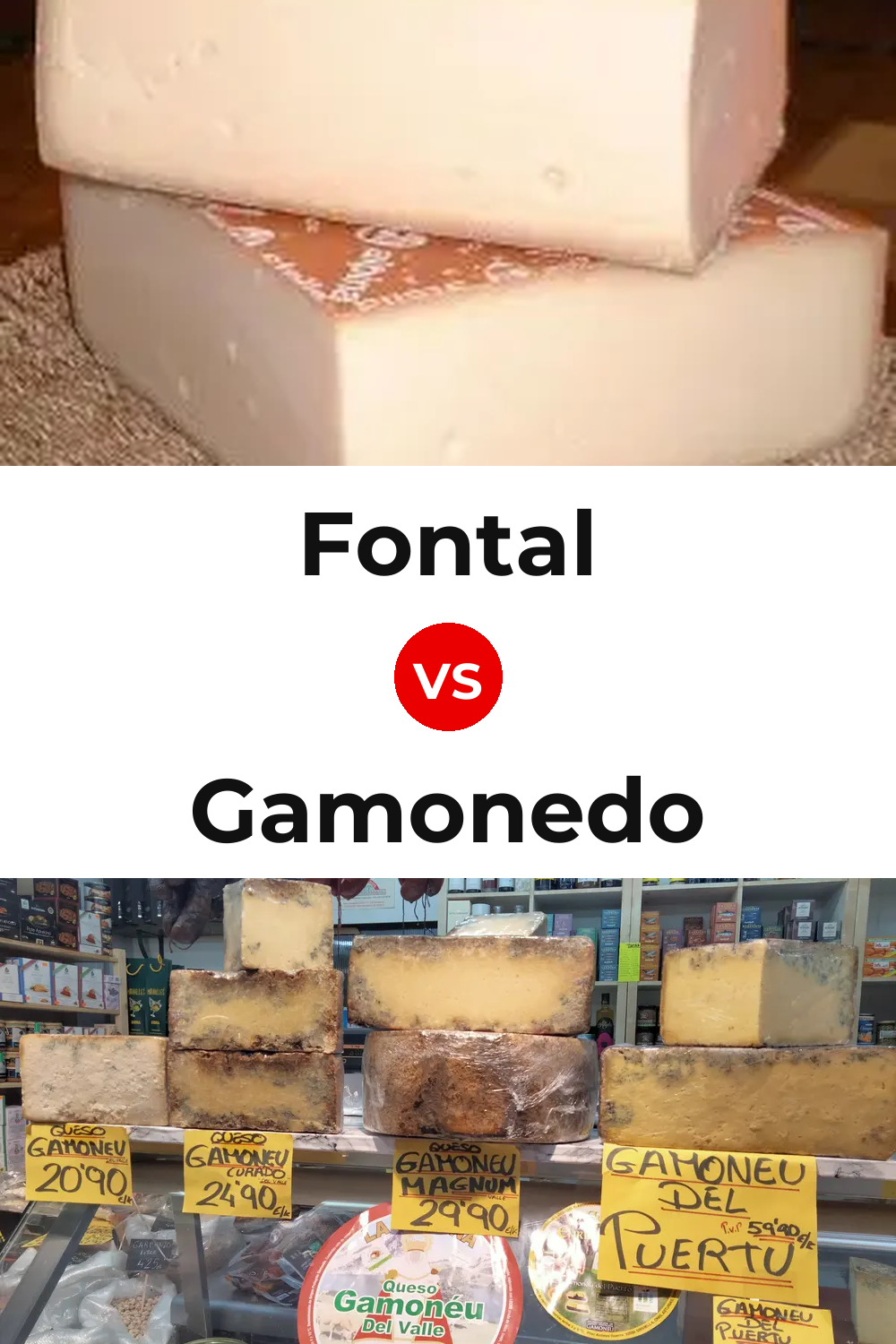 Fontal Cheese vs Gamonedo Cheese Pinterest comparison