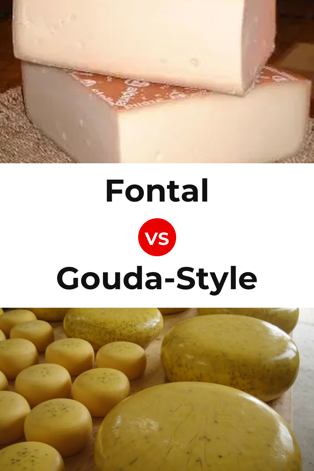 Fontal Cheese vs Gouda-Style Cheese Pinterest comparison